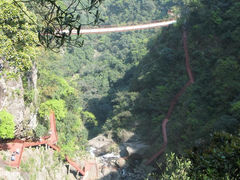 景点-旗山国家森林公园