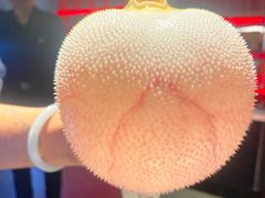 -肆月河豚·新淮扬菜·烤鸭(中关村店)