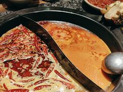 -蜀大侠火锅(建设路第五大道店)