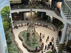 -辽宁古生物博物馆