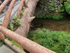 -藏龙百瀑风景区