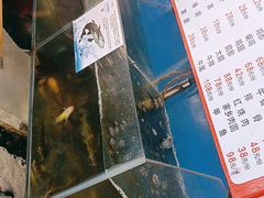 -粗粮人家·东北菜(洋桥店)