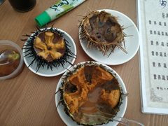 -海胆小馆(东北水饺·春柳店)