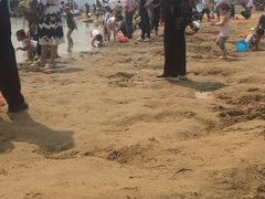 -武清南湖绿博园