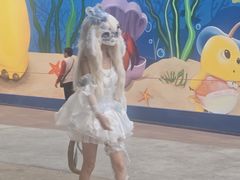 -海合安成都极地海洋公园