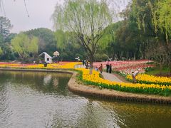 -上海鲜花港