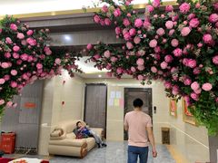 -陶然居·重庆菜(两江会馆店)