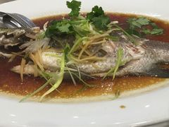 -新香港烧腊海鲜面家