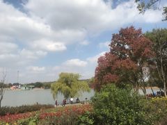 -上海月湖雕塑公园