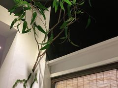 -春天来了(印象新天地店)