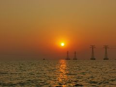 -宝安西湾红树林湿地公园