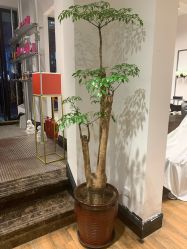 -印·Style造型创始店