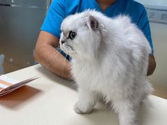 -宠颐生中康贝怡动物医院
