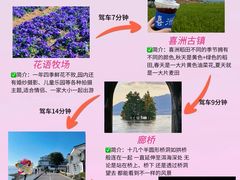 -崇圣寺三塔文化旅游区