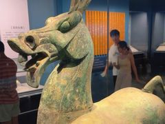 -广西壮族自治区博物馆