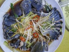 -煲来饱去冷水鱼