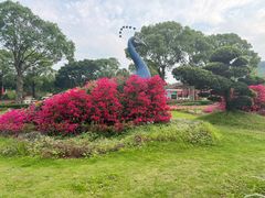 -东南花都花博园