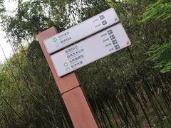 -同里国家湿地公园