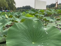 -WhaleSports户外水上运动俱乐部(朝阳公园店)