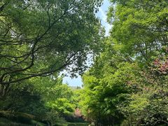 -杭州半山国家森林公园