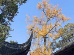 -宝光寺