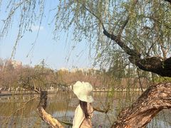 -翠湖公园