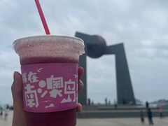-南澳岛打卡果汁冰公司