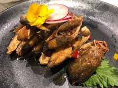 -望乡楼上海菜(日月光店)