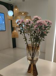 -水沐莲清瑜伽·普拉提