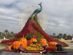 -七彩云南欢乐世界