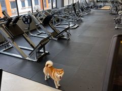 -聚健身GatherFitness(余杭店)