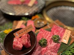 -老乾杯(深圳湾万象城店)