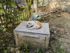 -北京鹫峰国家森林公园