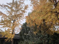 -清晏园