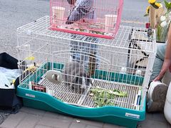 -大象厨房(重庆道店)