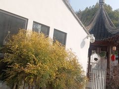 -三林塘老街