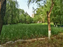 -西安市长乐公园