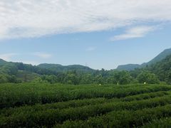 -西湖风景区十里琅珰-五云山