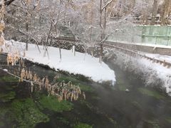 -水磨沟公园