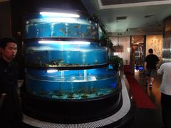 DSC06030-王家渡火锅店(棕榈泉店)