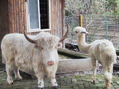 -武汉紫薇都市田园