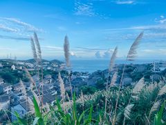 -东极岛景区