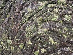 -海口火山口国家地质公园