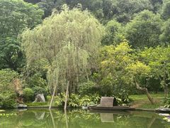 -云溪植物园