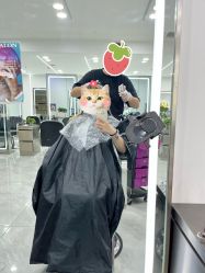 -Coo Hair salon