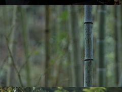-常德桃花源景区