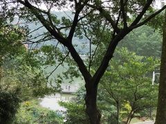 -广州市帽峰山景区