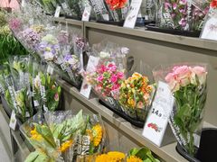 -鹿岛生活(熙地港店)