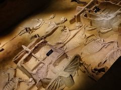 -洛阳周王城天子驾六博物馆