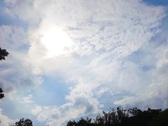 -李柱·柘城垛子羊肉旗舰店(通泰路店)